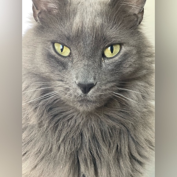 Meet your Posher, Kim - Picture 5 of 10